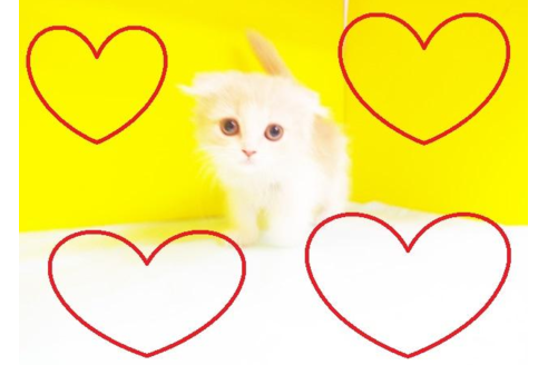 成約済の東京都のスコティッシュフォールド-4943の1枚目