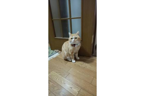 なるとくん1枚目