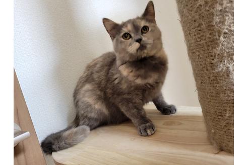 ハニーちゃん1枚目