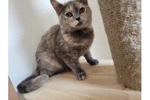 ハニーちゃん1枚目