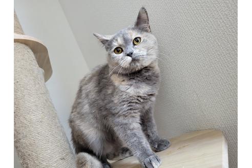 ハニーちゃん1枚目