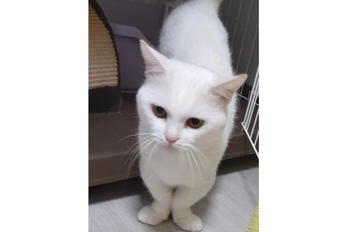 アキラくん1枚目