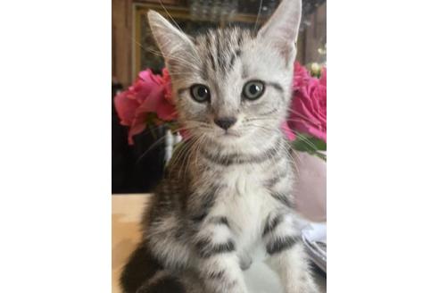 E5fc8ivgjwmg7m E5fc8ivgjwmg7m