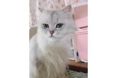 さゆりちゃん1枚目