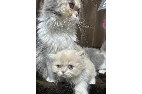 ウルルちゃん1枚目