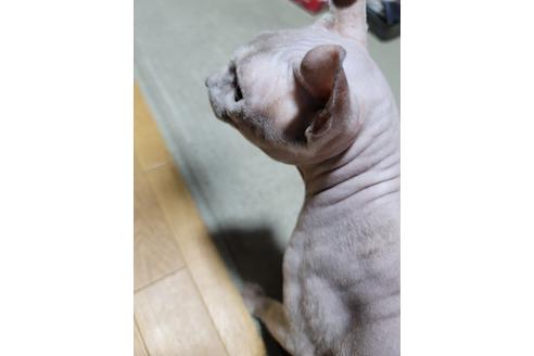 ドロンくん1枚目