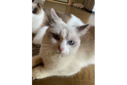 渚ちゃん1枚目