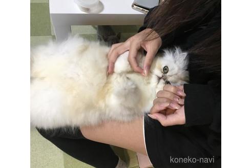 成約済の兵庫県のヒマラヤン-38862の3枚目