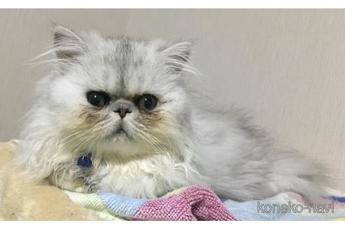 成約済の兵庫県のヒマラヤン-38862の1枚目