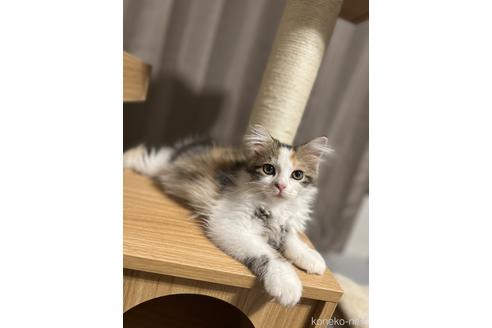 アロちゃん1枚目