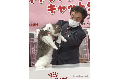 ジゼルちゃん1枚目