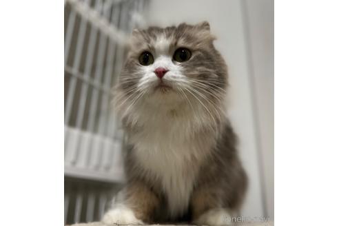 ジュリちゃん1枚目