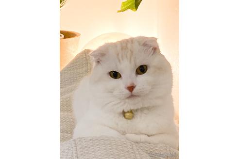 まろくん1枚目