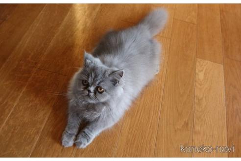 メイちゃん1枚目