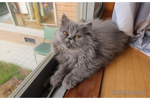 メイちゃん1枚目