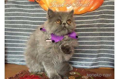 メイちゃん1枚目