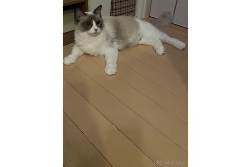 ちゃん1枚目