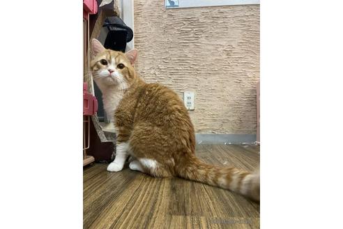 マヨネーズくん1枚目
