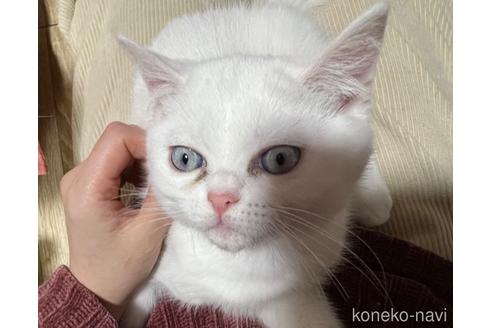 成約済の埼玉県のミックス-46705の58枚目