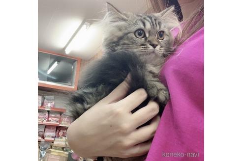 まゆげちゃん1枚目