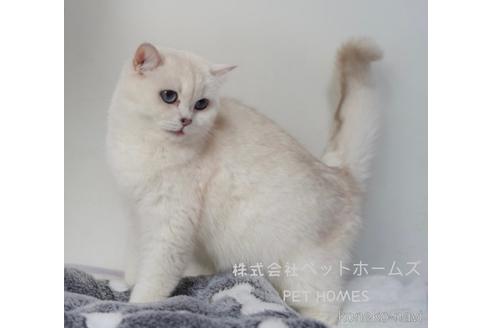 ちゃん1枚目