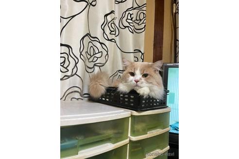 ルルくん1枚目
