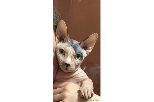 ちゃん1枚目