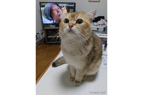 くん1枚目