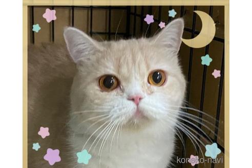 ミサちゃん1枚目
