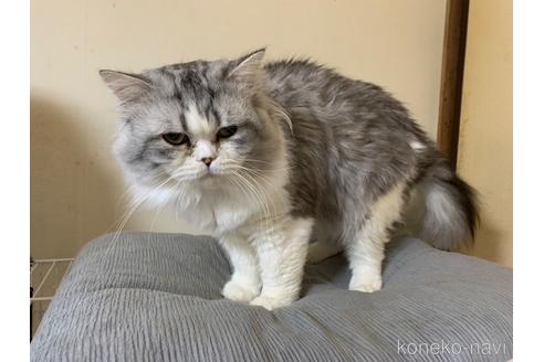 ライスくん1枚目