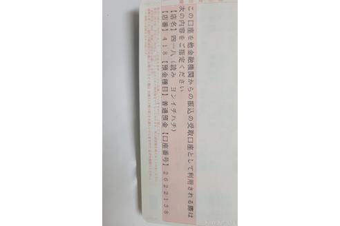 成約済の大阪府のエキゾチックショートヘア-49224の5枚目