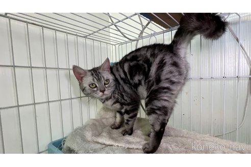 リンちゃん1枚目