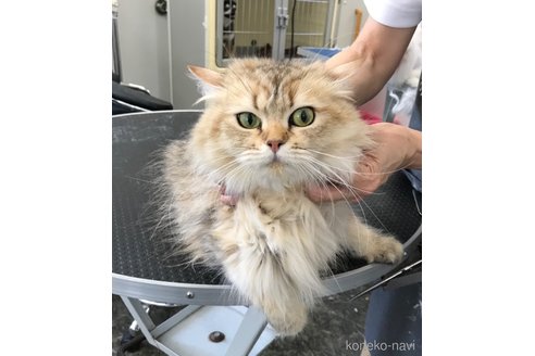 うにちゃん1枚目