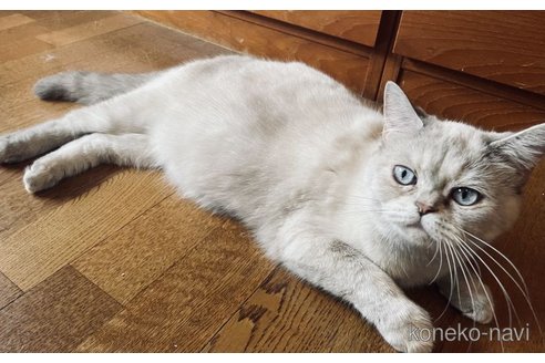 すみれちゃん1枚目