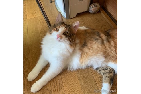 オリーブちゃん1枚目