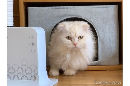 くん1枚目