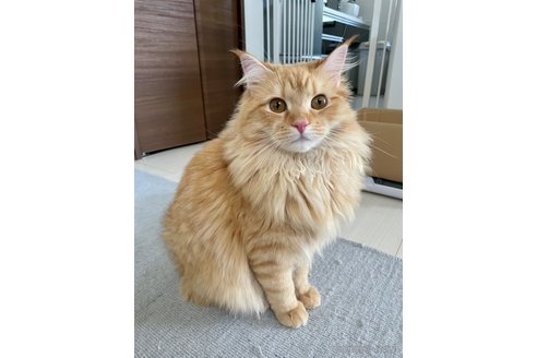 かぬれくん1枚目