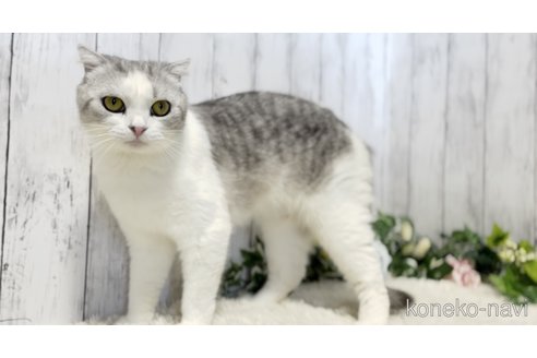 ミナミちゃん1枚目