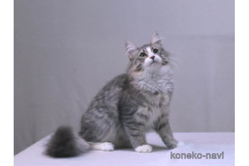 ツルちゃん1枚目