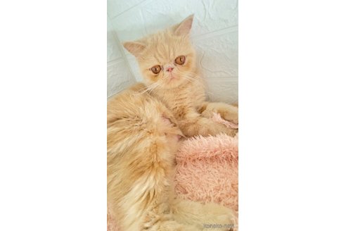 ウメちゃん1枚目