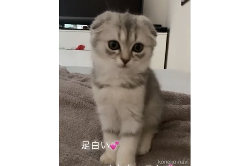 ロビンちゃん1枚目