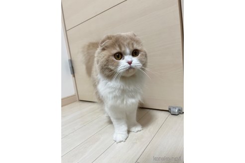 つくねちゃん1枚目