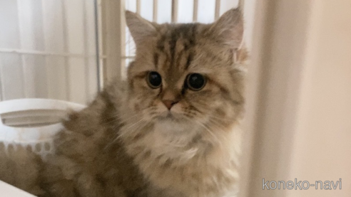ちゃん1枚目