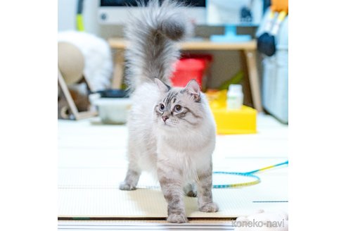 leoくん1枚目