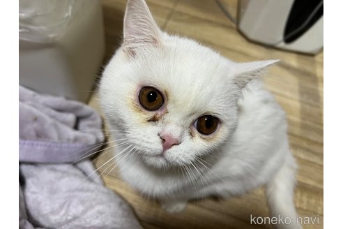 成約済の埼玉県のミックス-62513の27枚目