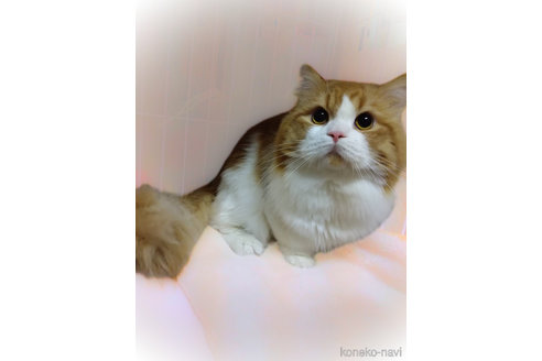 くん1枚目