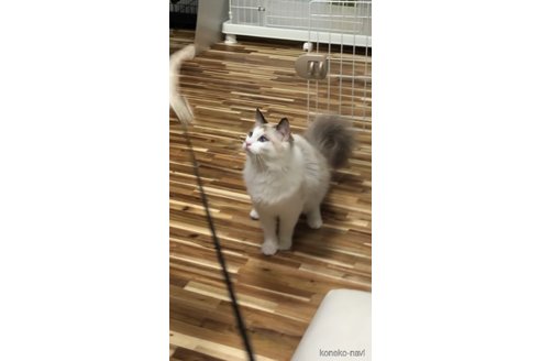 タカラちゃん1枚目