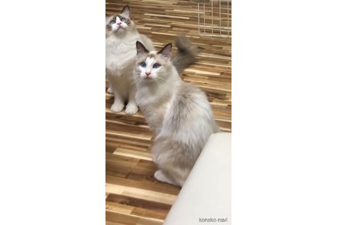 タカラちゃん1枚目