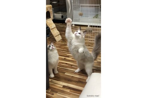 タカラちゃん1枚目