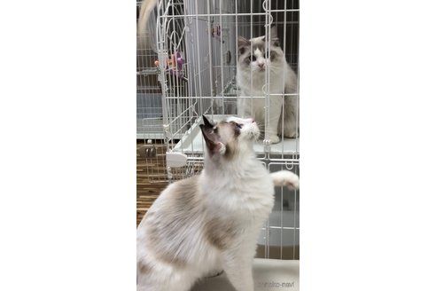 タカラちゃん1枚目
